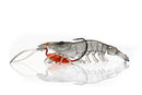 125mm Chasebaits Heavy Flick Prawn Soft Plastic Lure with 15gm Lead Weight