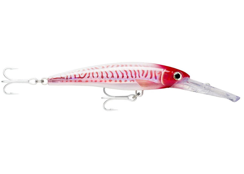 14cm Rapala X-Rap Magnum Deep Diving Trolling Lure - Dives to 20 Feet