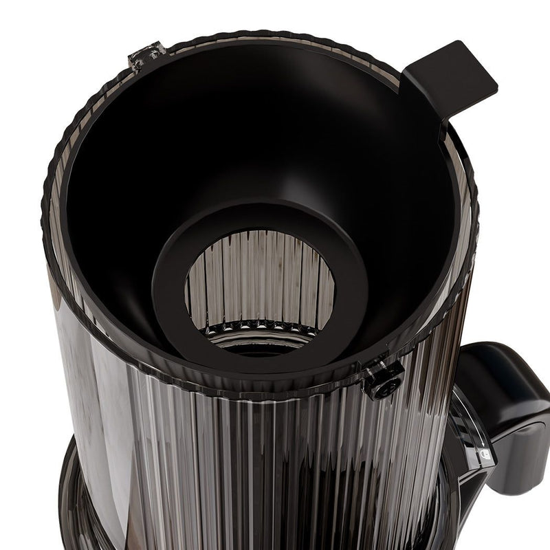 Spector 1L Electric Cold Press Slow Juicer Whole Fruit Vegetable Processor 200W