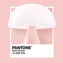 Lexon Mina M Medium Portable Led Lamp PANTONE - Rose Pink