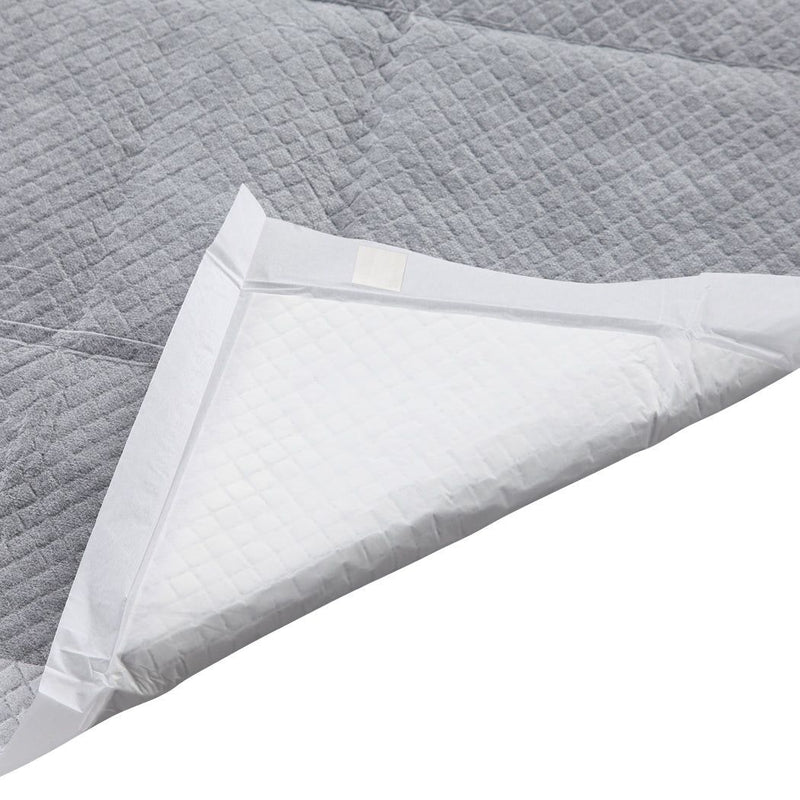 Pawz 400Pcs 60x60cm Charcoal Pet Puppy Dog Toilet Training Pads Ultra Absorbentt