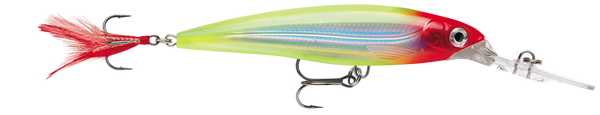 Rapala 8cm X-Rap Deep Diving Jerkbait Fishing Lure - Clown