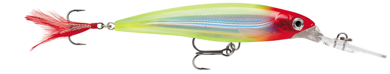 Rapala 8cm X-Rap Deep Diving Jerkbait Fishing Lure - Clown