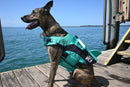Jet Pilot Pfd Venture Dog Pfd Teal