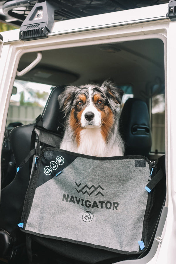 DOG SEAT BUDDY - SINGLE