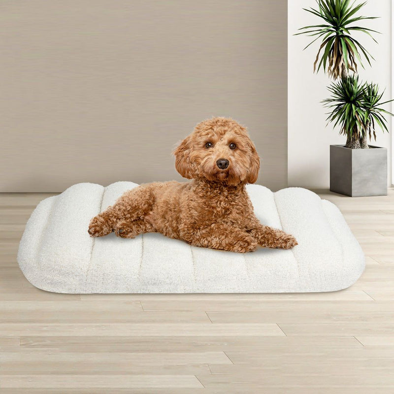 Pawz Pet Dog Bed Orthopedic Sofa Egg Foam Mattress Mat Washable Waterproof M
