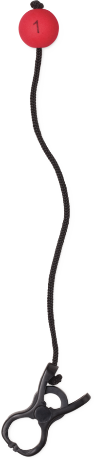 Rapala 15lb Touch Screen Tourny Digital Fishing Scale