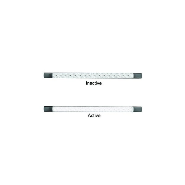 LED Autolamps 530W12 Reverse Clear Lens, Blister