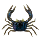 Rapala Crush City 6 Pack of 1.5 Inch Trickster Soft Plastic Lures