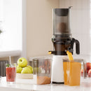 Spector 1L Electric Cold Press Slow Juicer Whole Fruit Vegetable Processor 200W