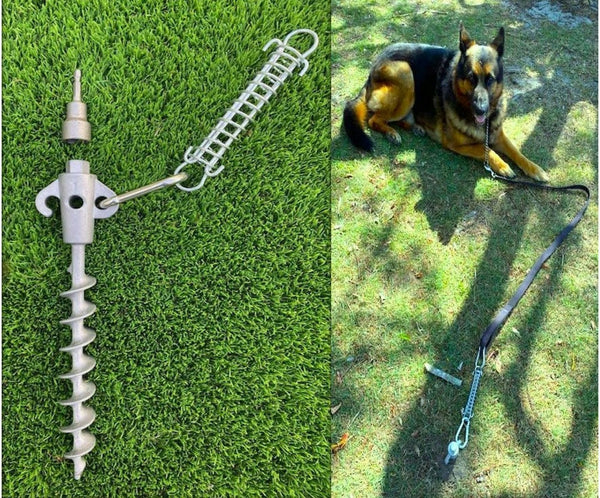 Pet Ground Anchor Secura Pegs™