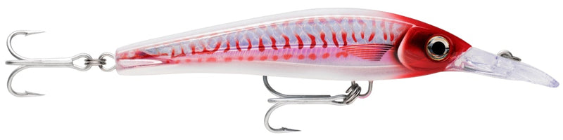 16cm Rapala X-Rap Magnum Xtreme Shallow Diving Trolling Fishing Lure