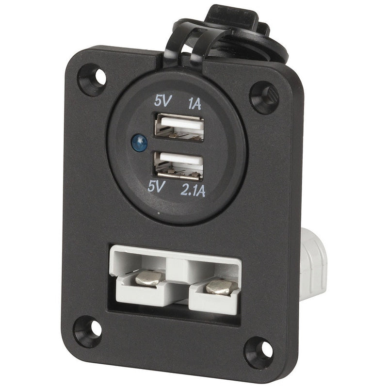 Mean Mother Flushmount 50A Plug & Twin USB