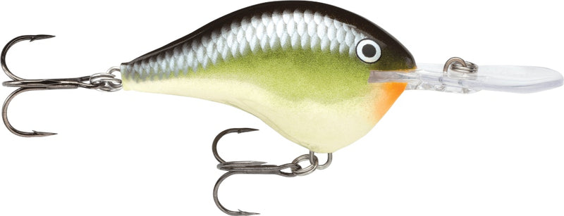 Rapala DT10 (Dives to 10ft) Crankbait Fishing Lure