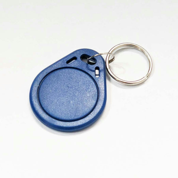 Camec Keyless Entry Spare Key Tag - Blue