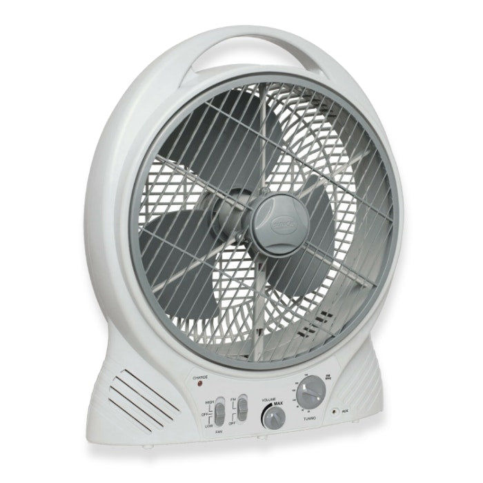 Fantastic 12v 5 in 1 portable fan with FM
